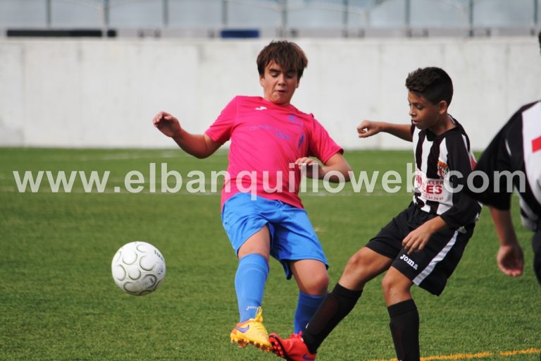 Solo el cadete mantiene el tipo