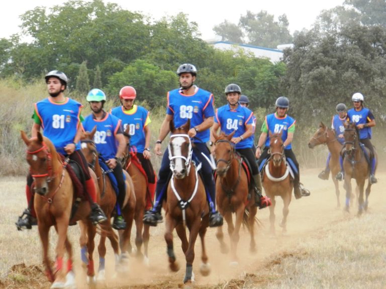El club caballista de Carmona prepara la octava edición de su raid