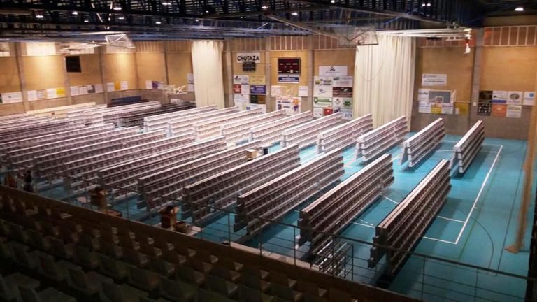 El de El Viso, un campeonato ornitológico de Andalucía de récord