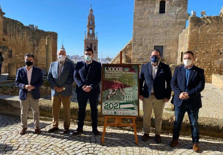 El Viso y Carmona acogerán la Copa del Rey de galgos