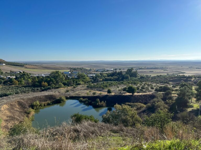 El circuito provincial de BTT Rally repite en el Parque de La Muela